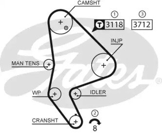 Ремень ГРМ Citroen C5/C8 / Fiat Ulysse / Peugeot 4 8XS