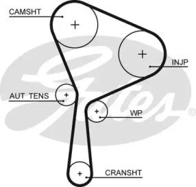 Ремень ГРМ Renault Megan 1.9dCi F9Q870/F9Q872 08>  4XS