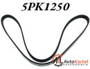 Ремень поликлиновой 5PK1250 TOYOTA Avensis, Corolla