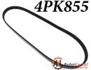 Ремень поликлиновой 4PK855