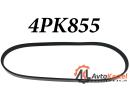 Ремень поликлиновой 4PK855