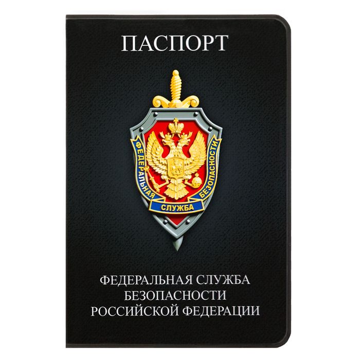 Обложка для паспорта 1612711 711