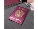 Обложка для паспорта, глянцевая, 1969308 308
