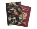 Обложка для паспорта 2966529 529
